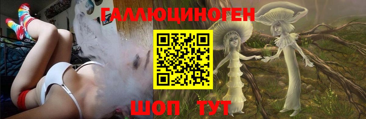 Галлюциногенные грибы Psilocybine cubensis Тихвин