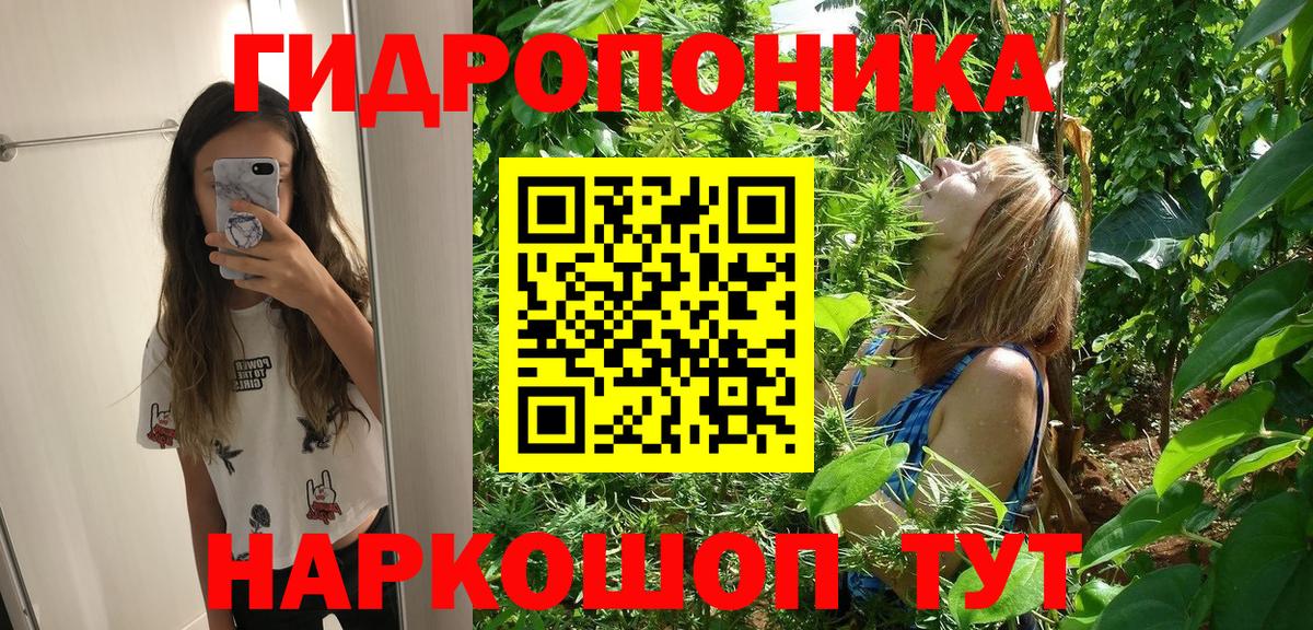 Марихуана семена  Вход с VPN  Шишки марихуана Amnesia  Тихвин 